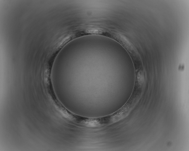 X0000097830322200803141151