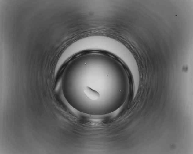 X0000097830324200803141151