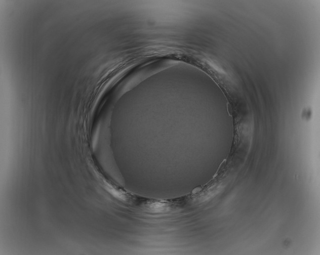 X0000097830325200803141151