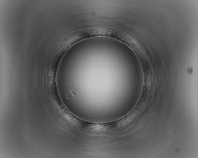 X0000097830326200803141151