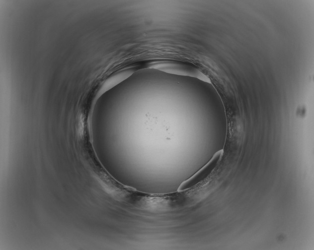 X0000097830327200803141151