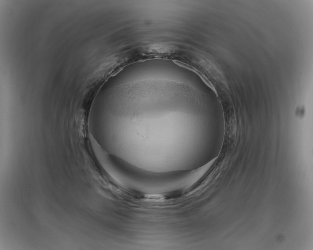 X0000097830328200803141151