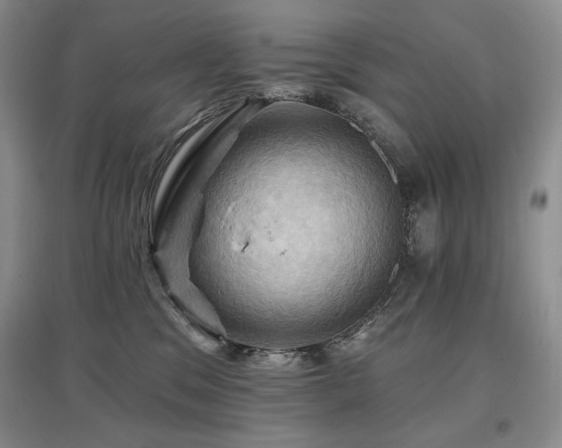 X0000097830329200803141151