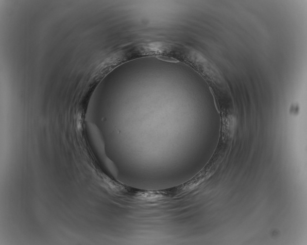 X0000097830331200803141151