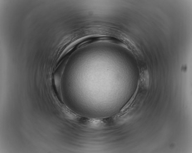 X0000097830333200803141151