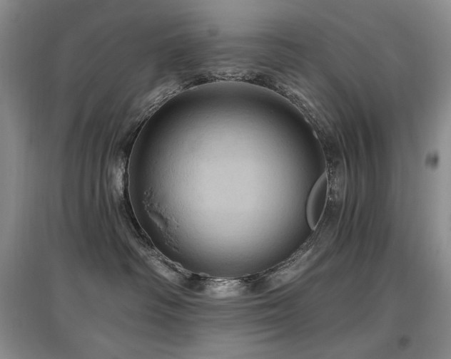 X0000097830334200803141151
