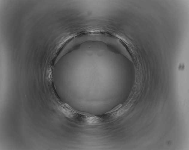 X0000097830336200803141151