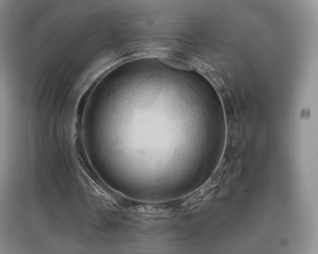 X0000097830338200803141150