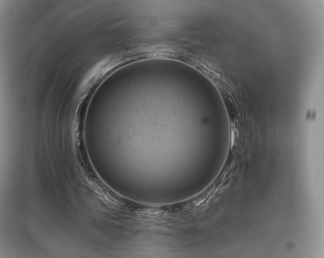 X0000097830339200803141150