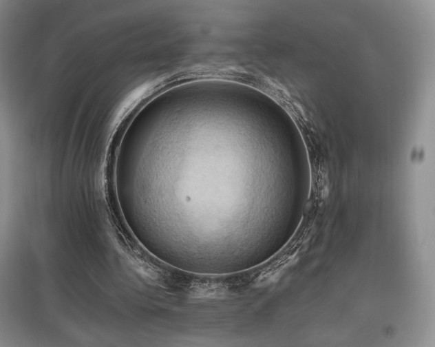 X0000097830340200803141150