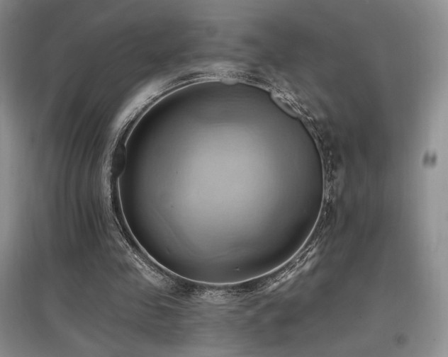 X0000097830341200803141150