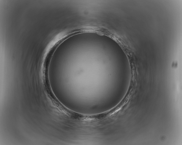 X0000097830343200803141150
