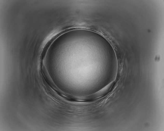 X0000097830344200803141150