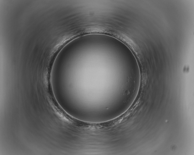 X0000097830345200803141150