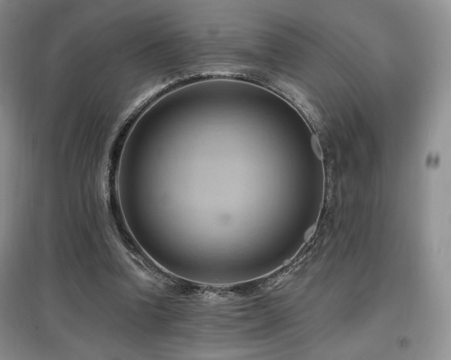 X0000097830346200803141150