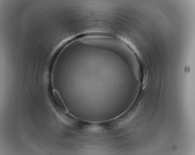 X0000097830348200803141150