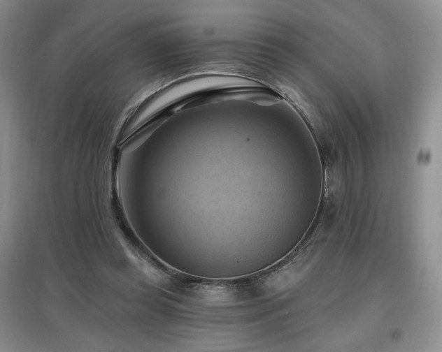 X0000097830349200803141150