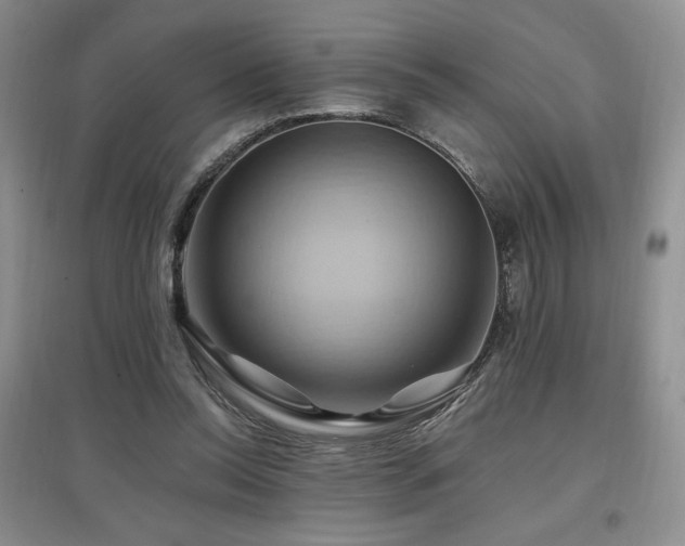 X0000097830350200803141150