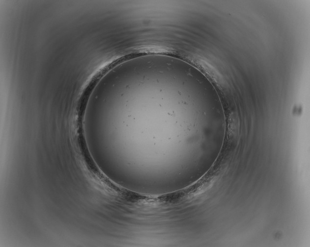 X0000097830351200803141150
