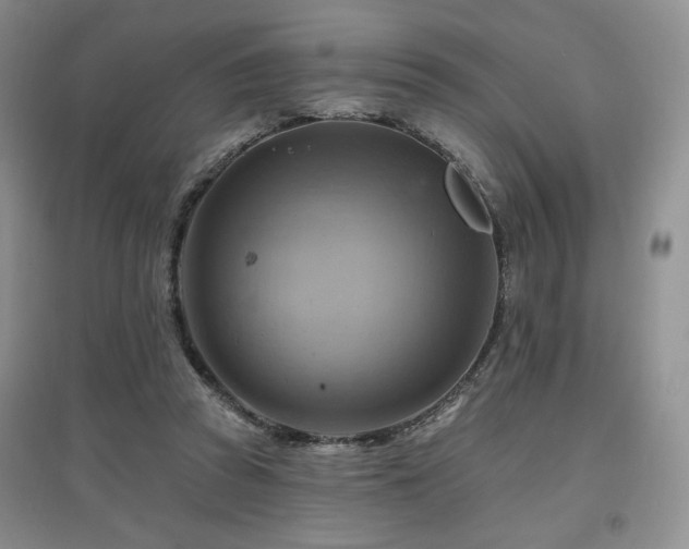 X0000097830353200803141150