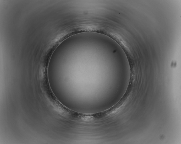 X0000097830355200803141150