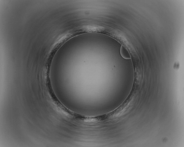 X0000097830357200803141150