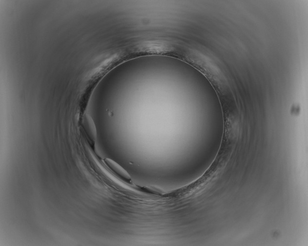 X0000097830358200803141150
