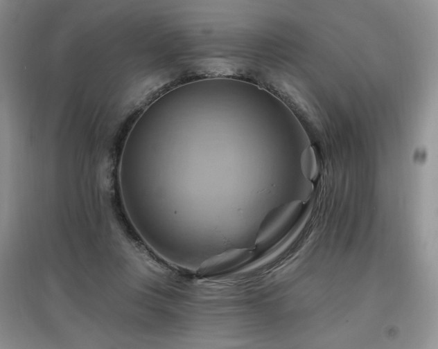 X0000097830359200803141150