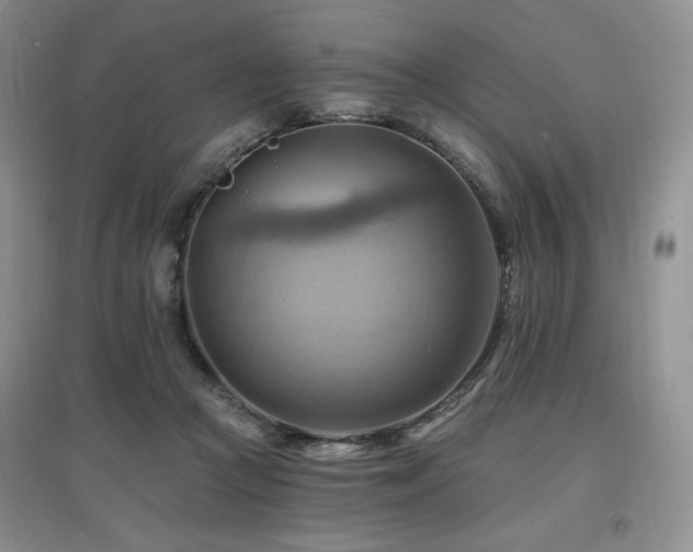X0000097830361200803141150