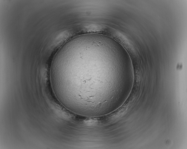 X0000097830362200803141150