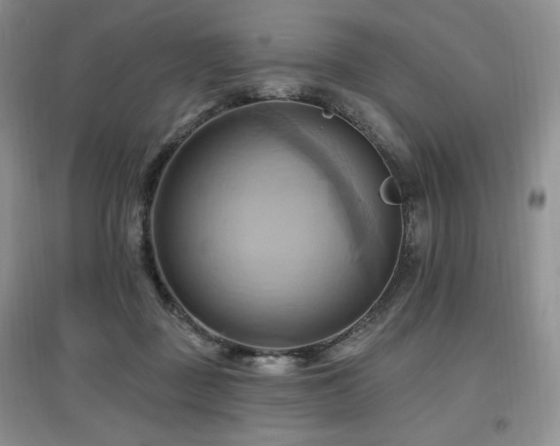 X0000097830363200803141150