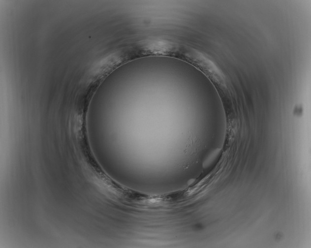 X0000097830365200803141150
