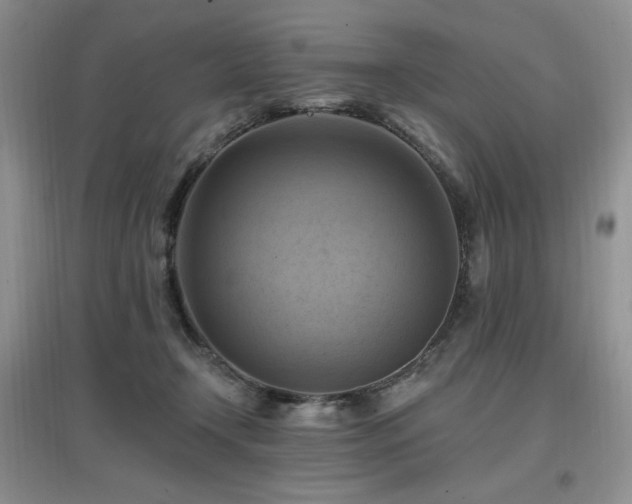 X0000097830366200803141150