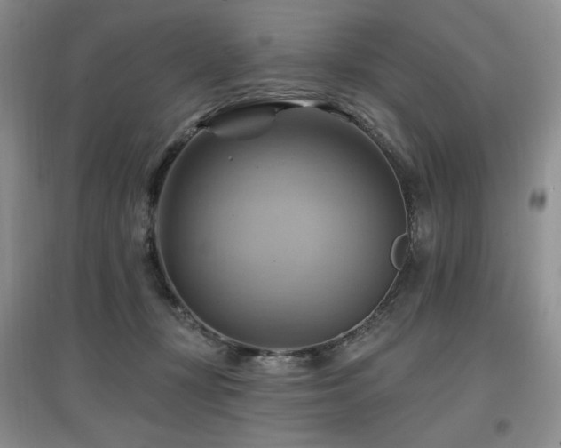 X0000097830367200803141150