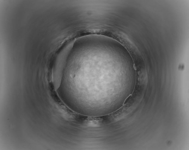X0000097830368200803141150