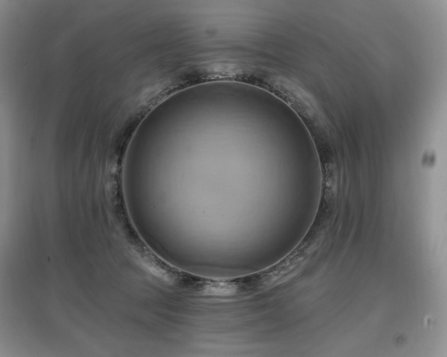 X0000097830369200803141150
