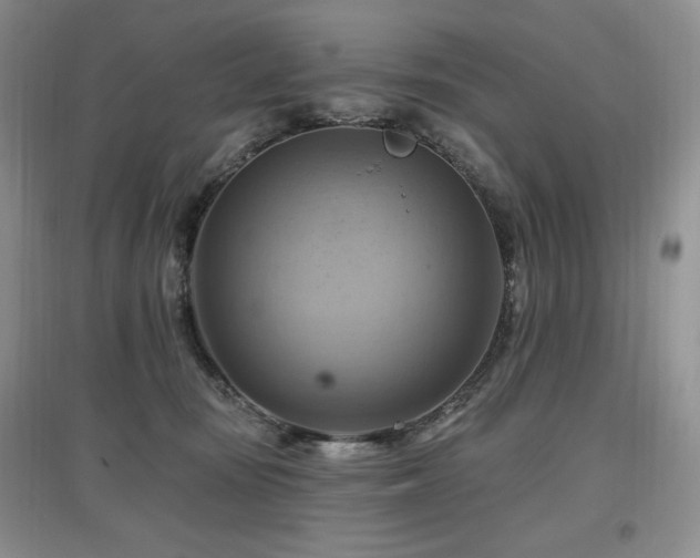 X0000097830371200803141150