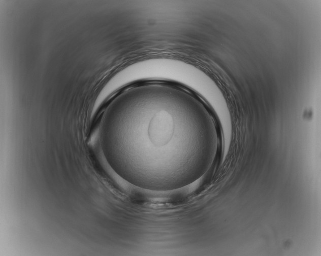 X0000097830372200803141150