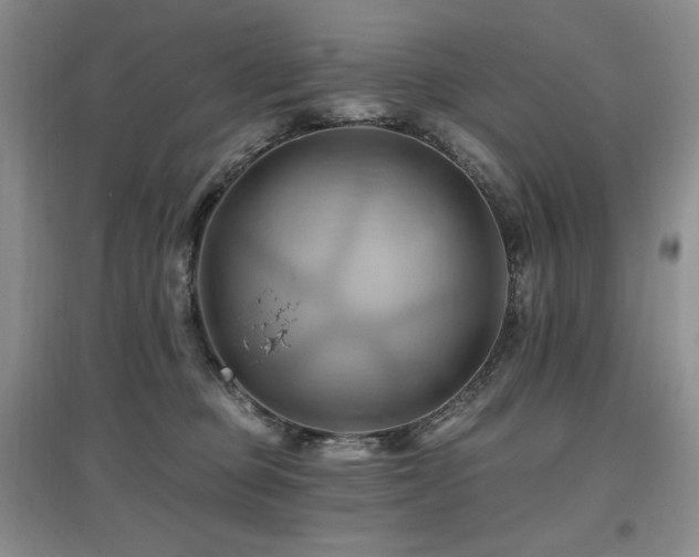 X0000097830373200803141150