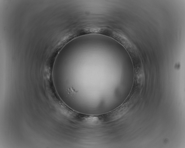 X0000097830374200803141150