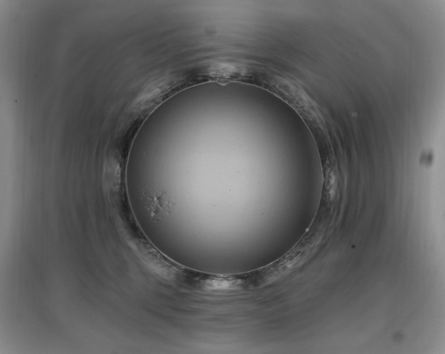 X0000097830375200803141151