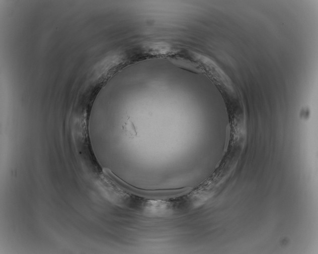 X0000097830376200803141151