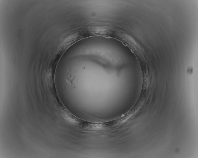 X0000097830377200803141151