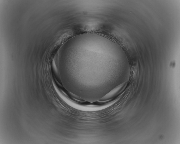 X0000097830380200803141151