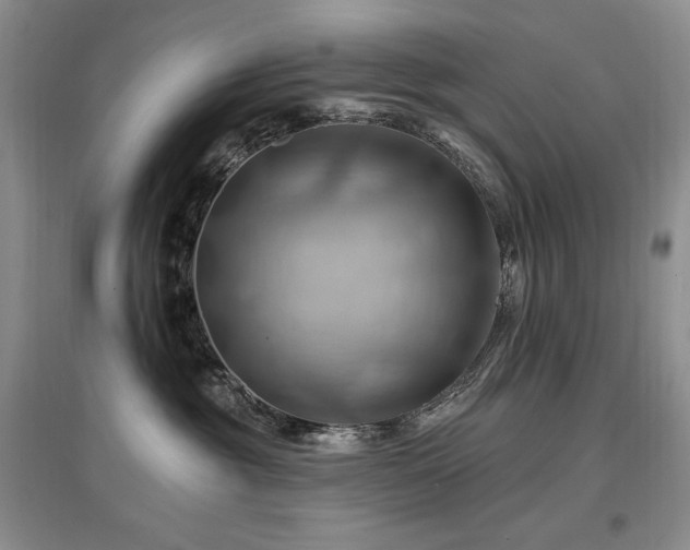 X0000097830381200803141151