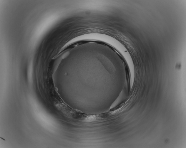 X0000097830382200803141151
