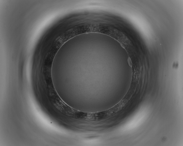 X0000097830383200803141151