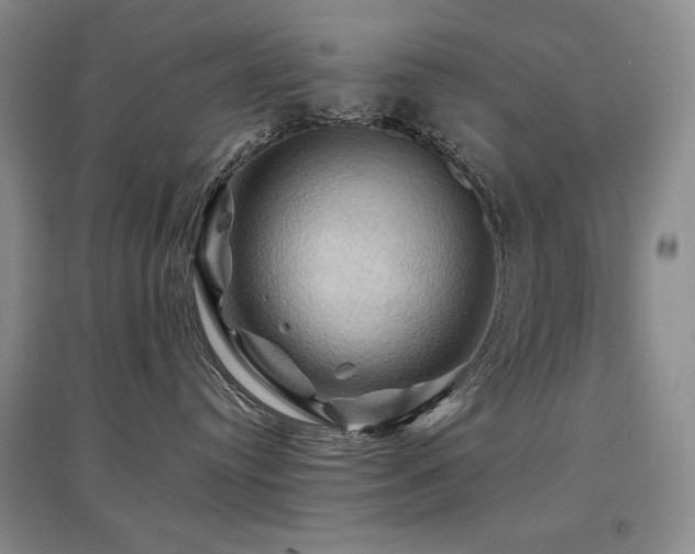 X0000097830384200803141151