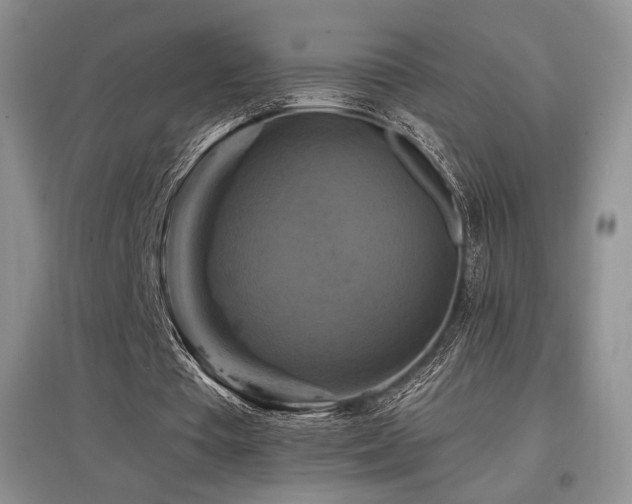 X0000097830385200803141150