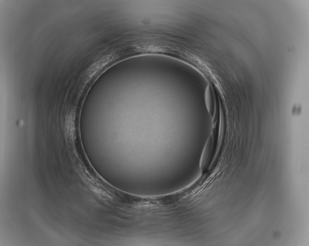 X0000097830386200803141150